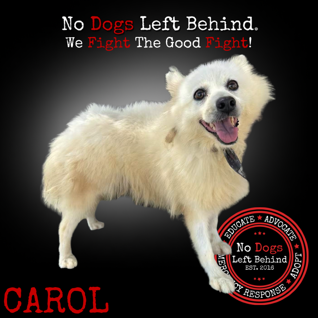 Carol 4170