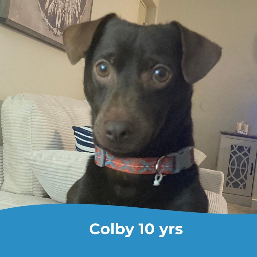 Colby