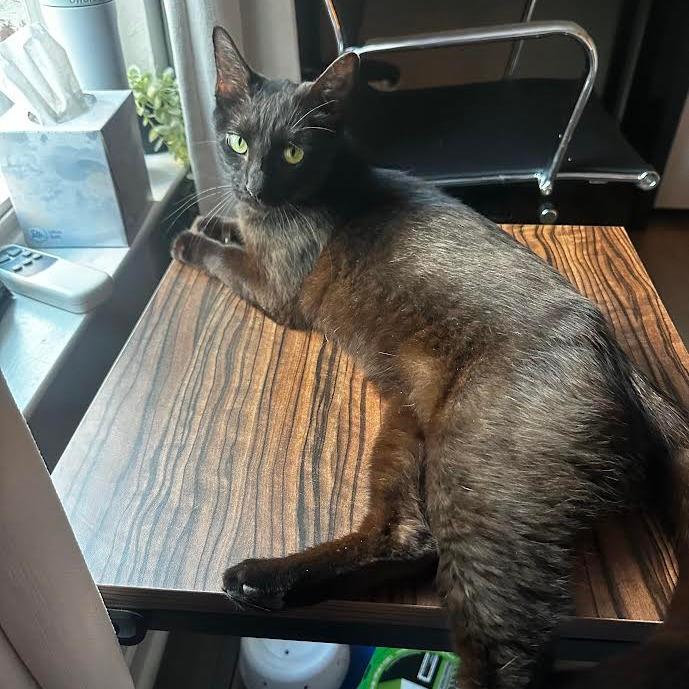 Greta