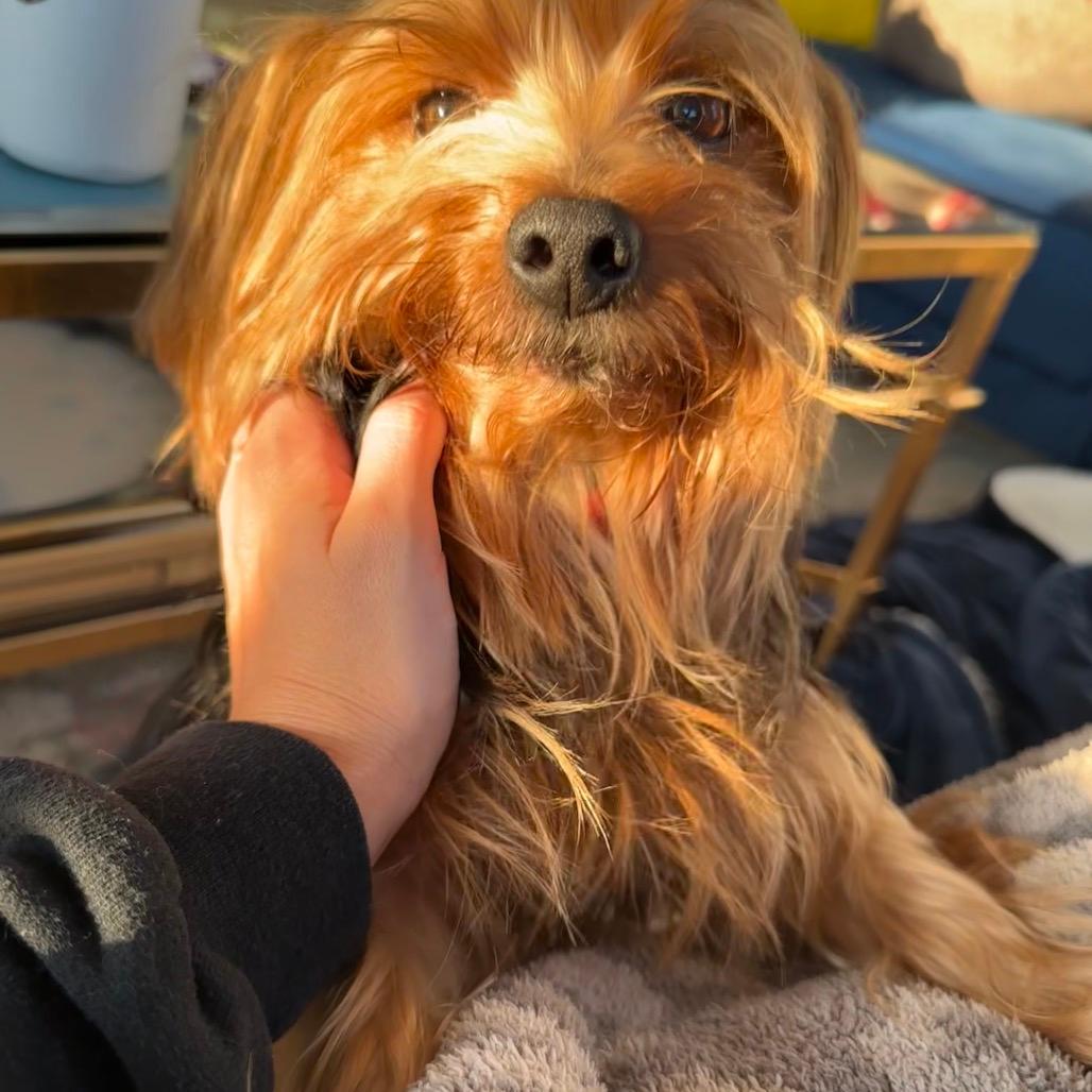 Frankie