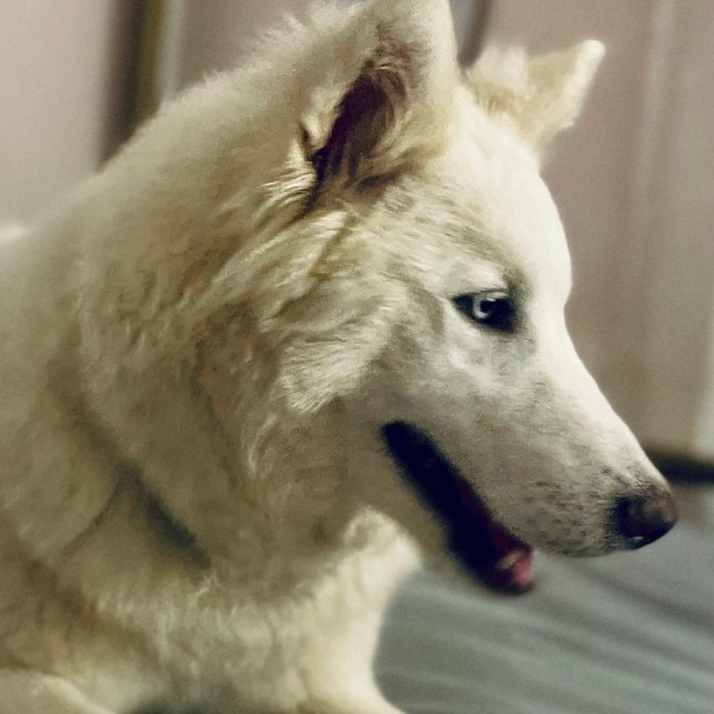 Tundra is LOST