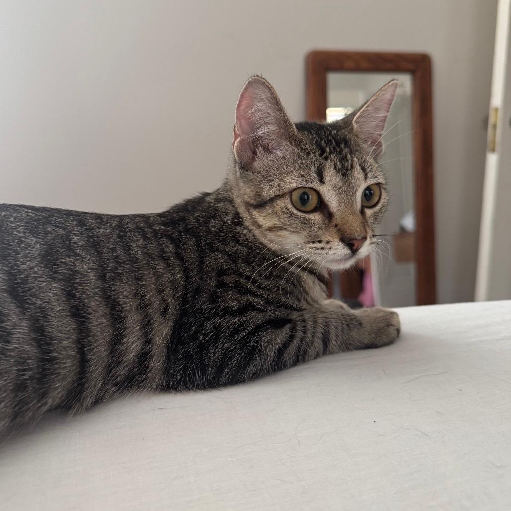BINX