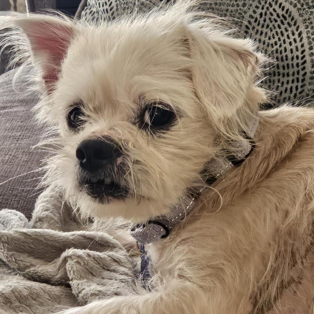 Milo