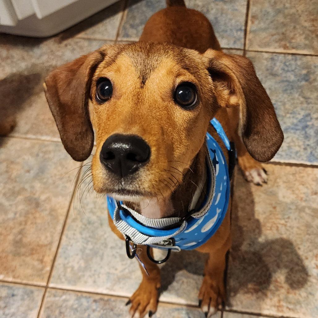 Potsy