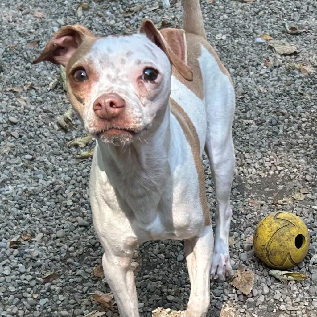 Spunky
