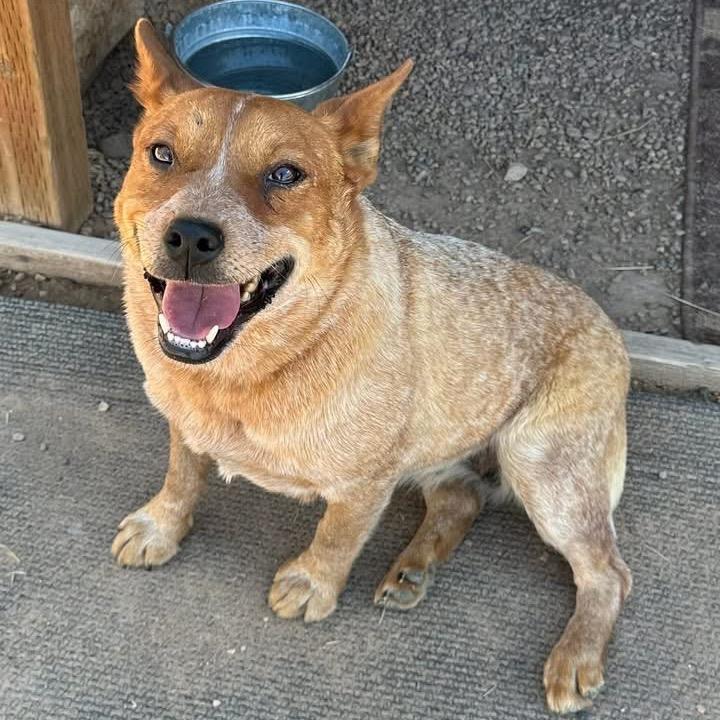 Winnie