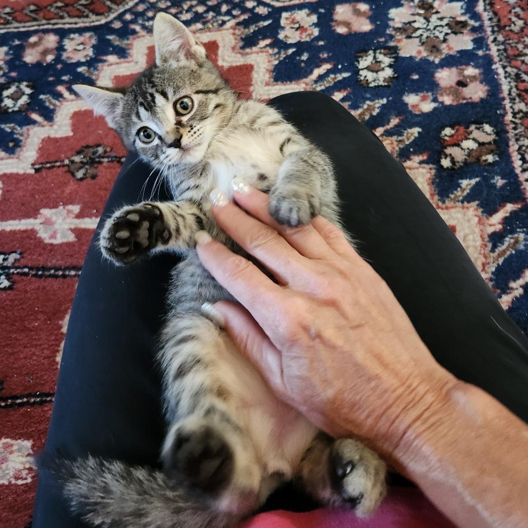 Yuki