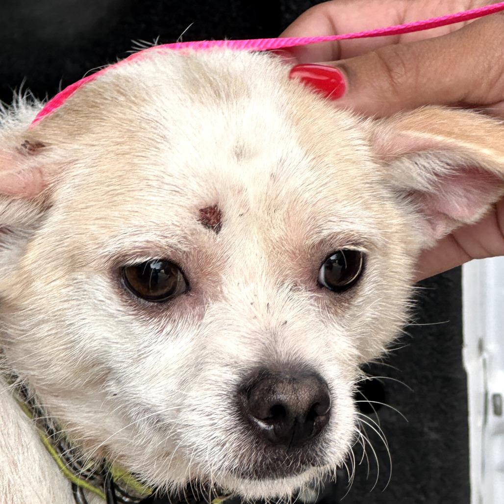 Sebastian (P202501710)