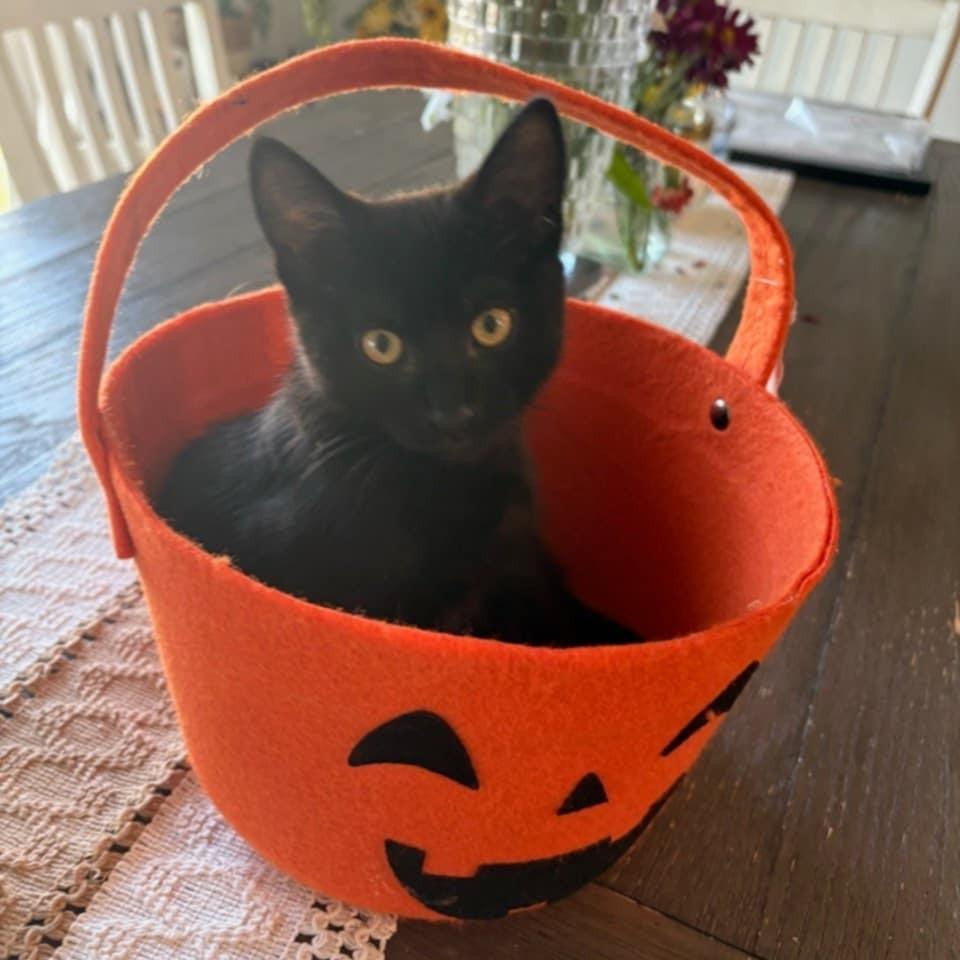 Delilah