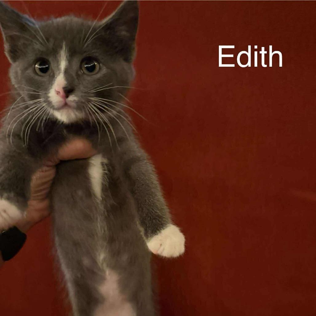 Edith