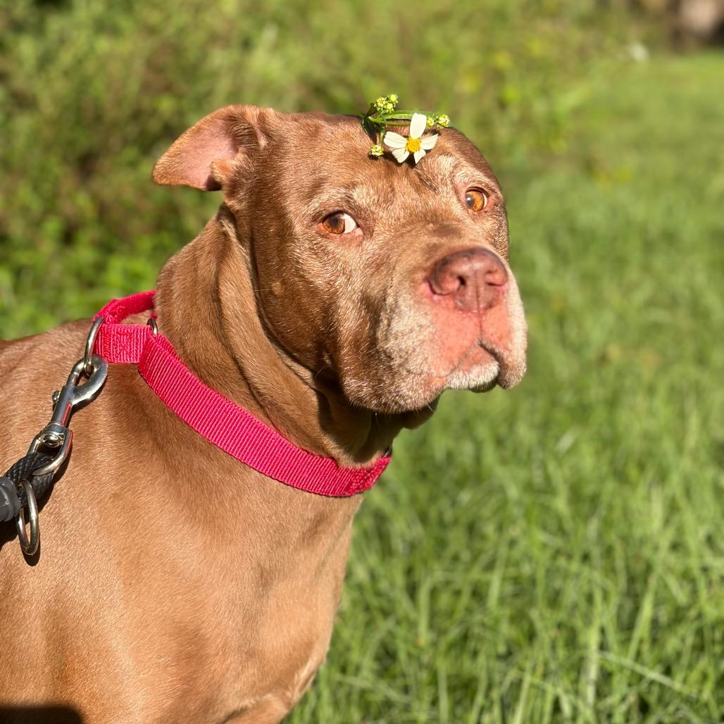 Precious