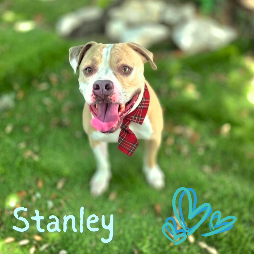Stanley