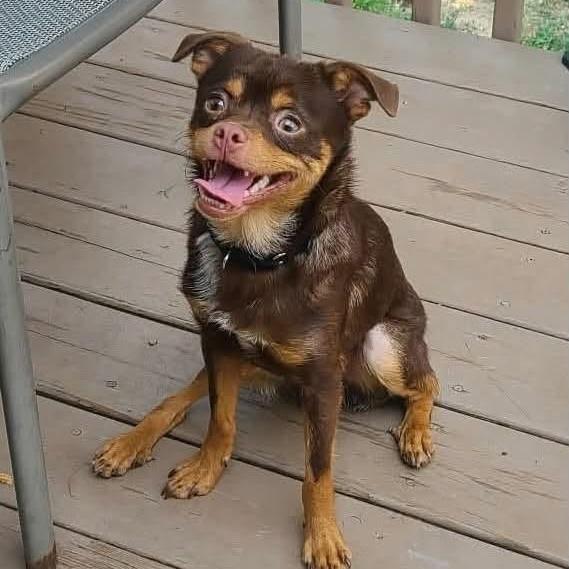 Benson