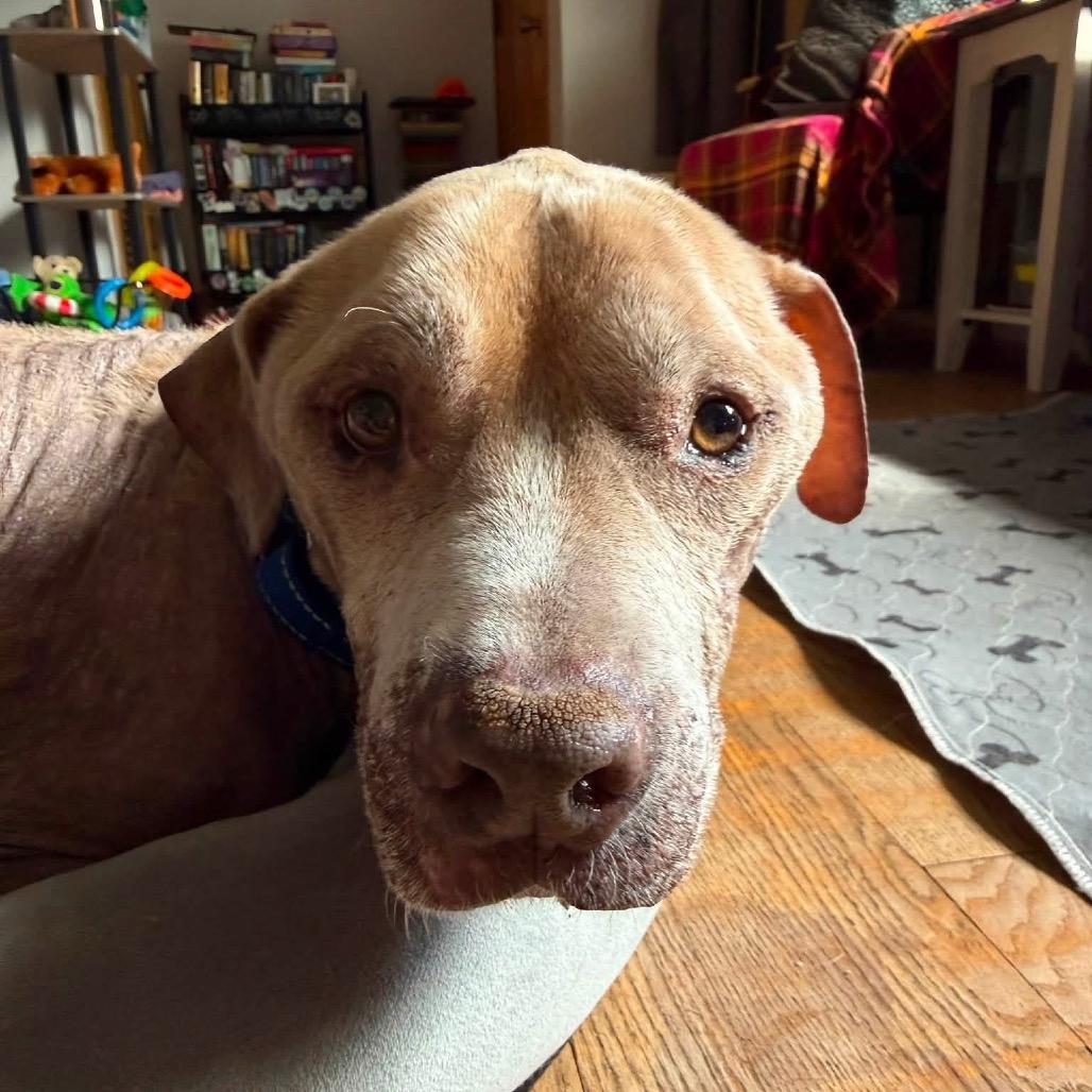 Benny