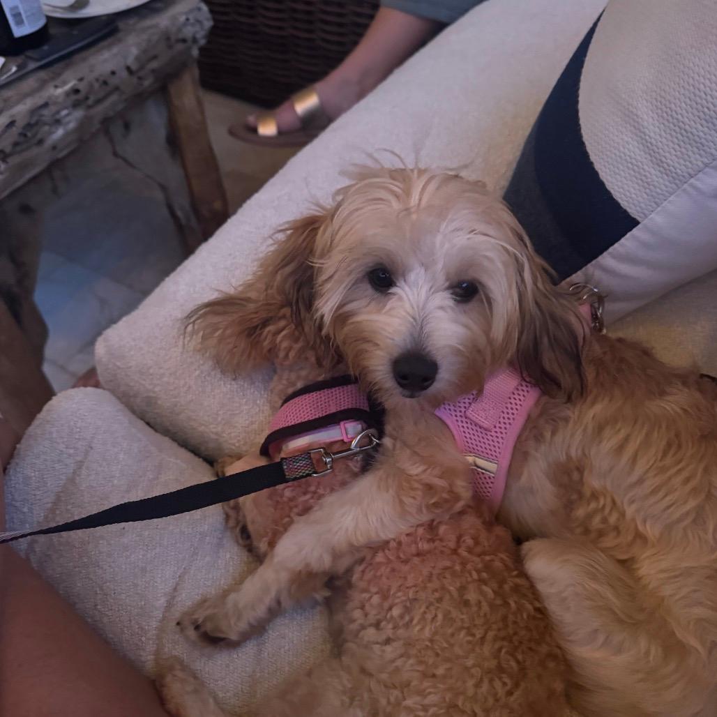 Minnie