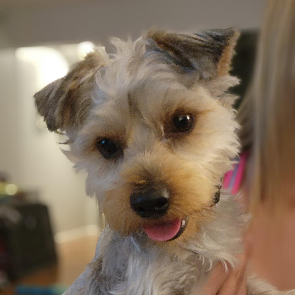 Louie