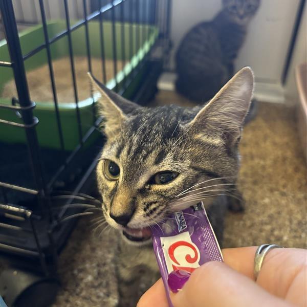 Twix