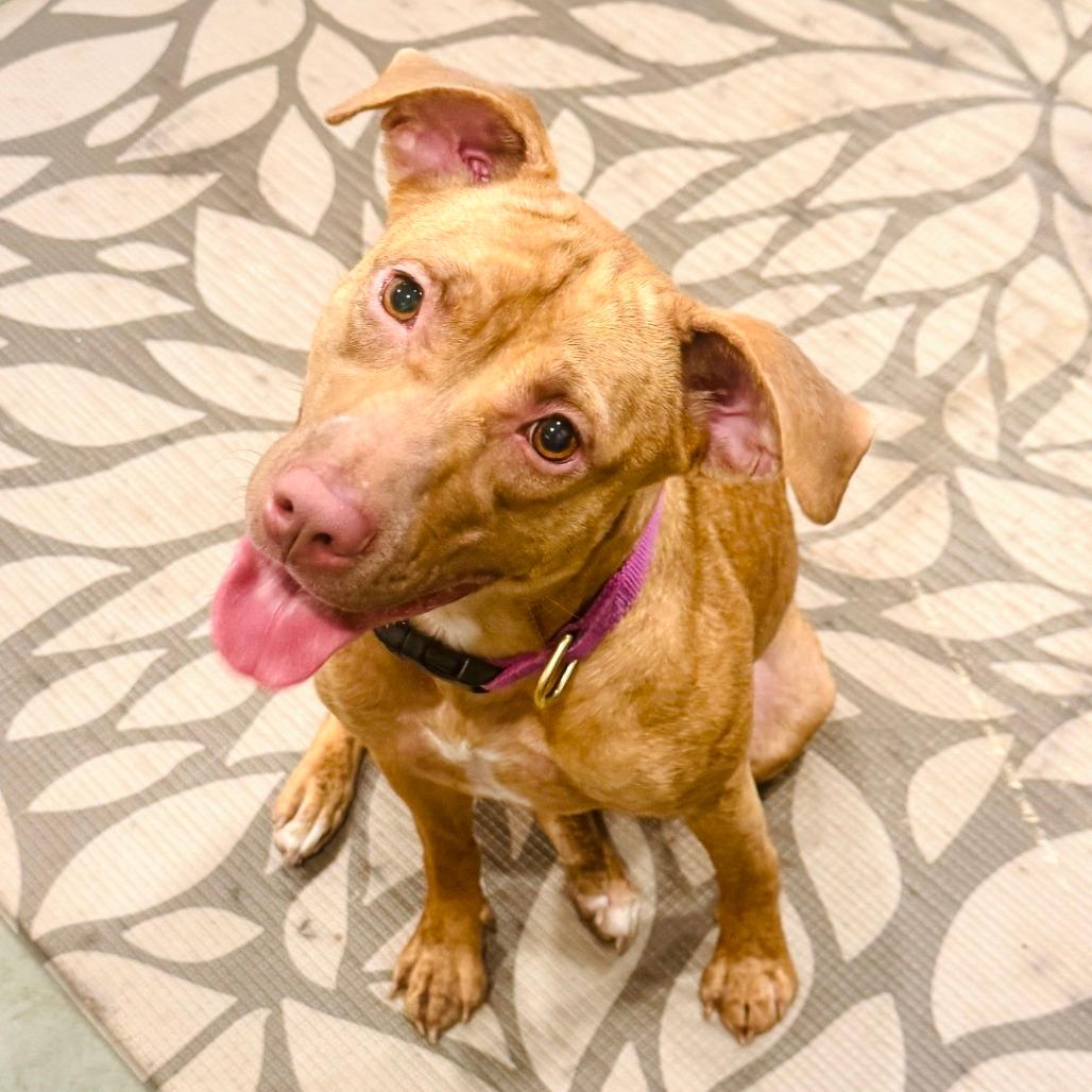 Fiona