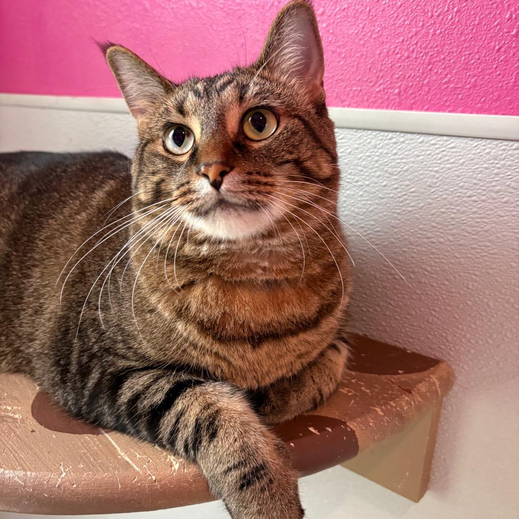 Bonnie(bonded to Clyde)