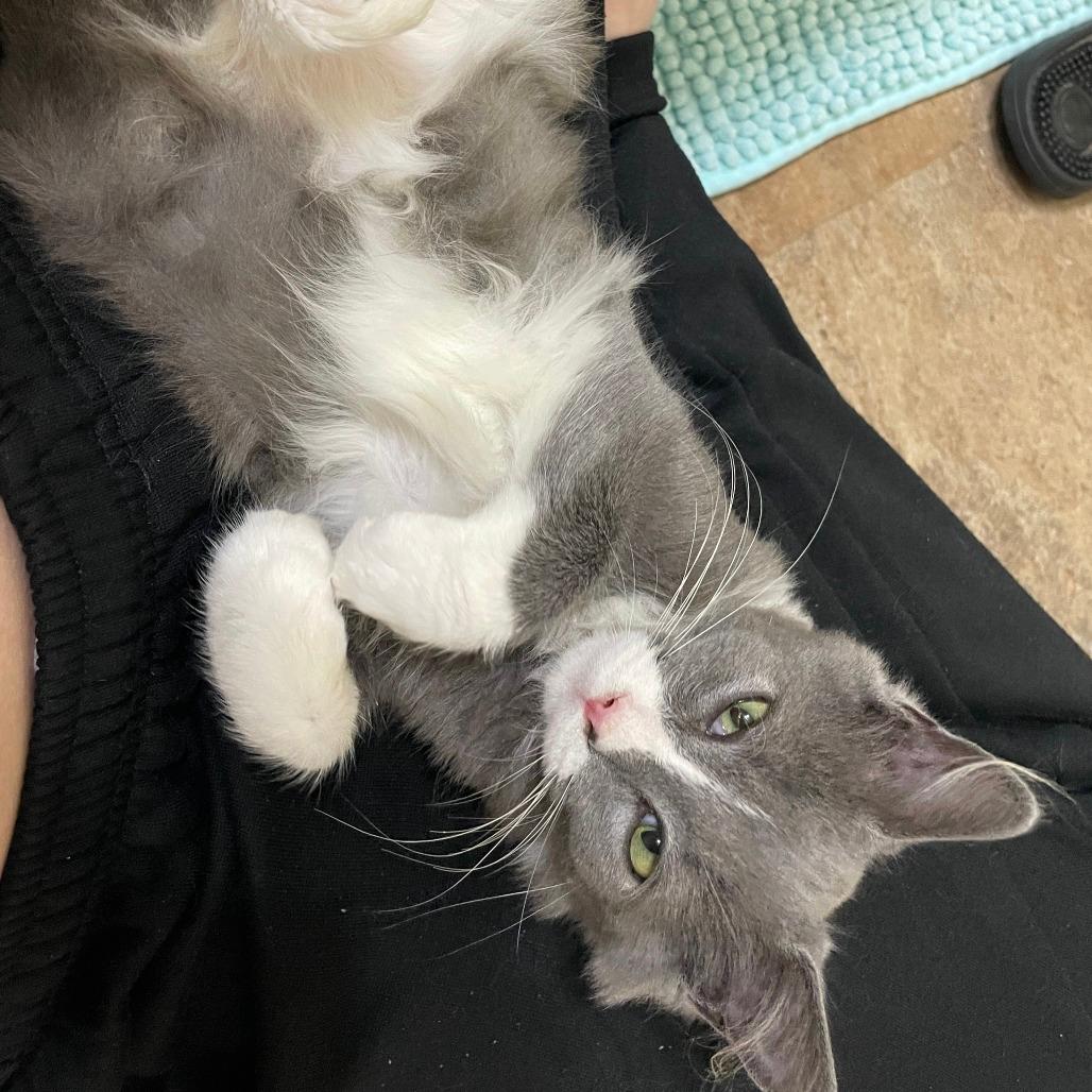 Tom