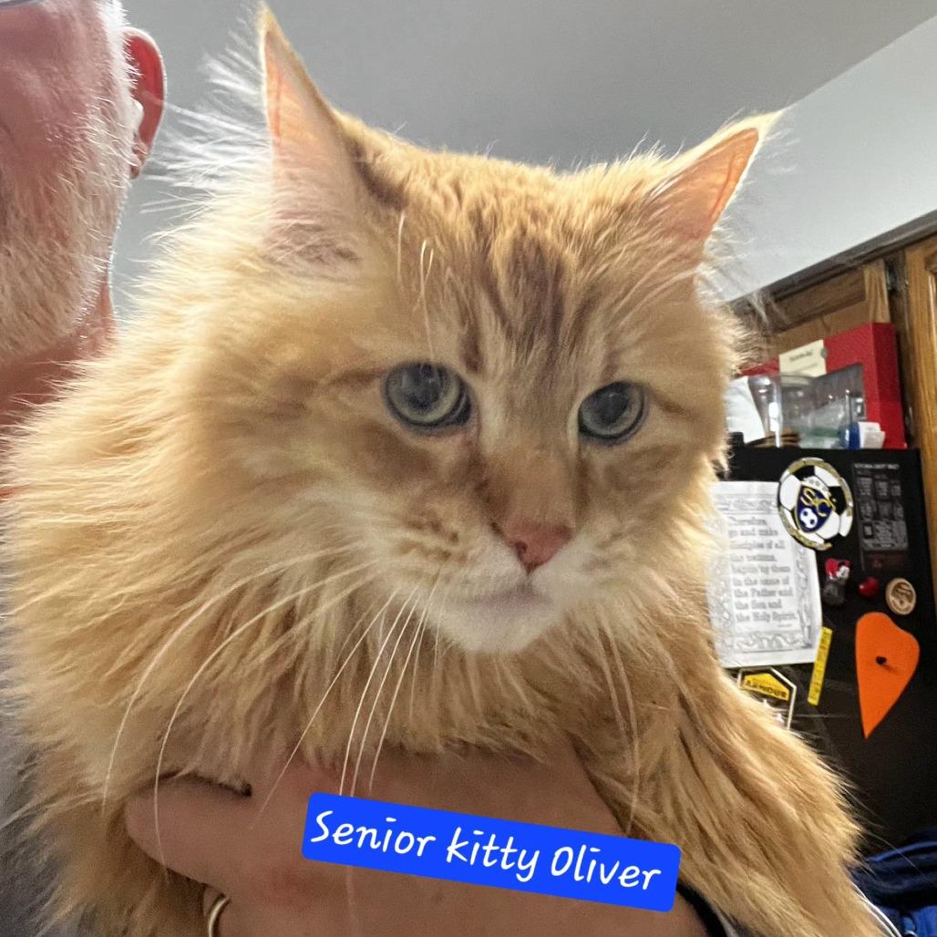 Oliver