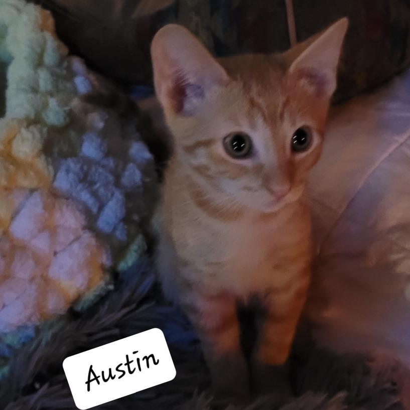 Austin
