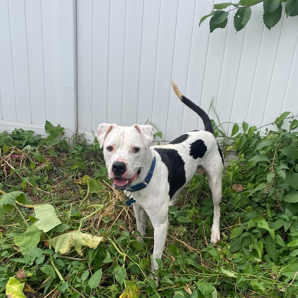 Max
