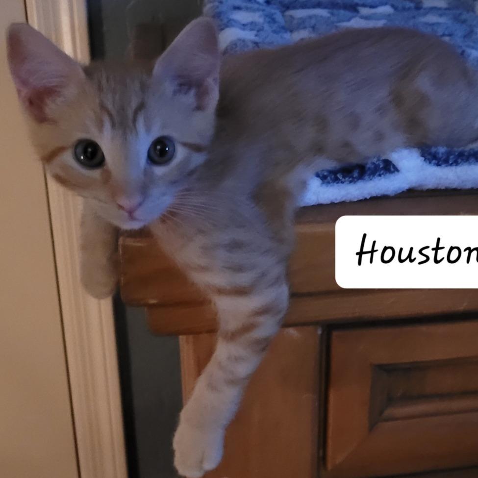 Houston