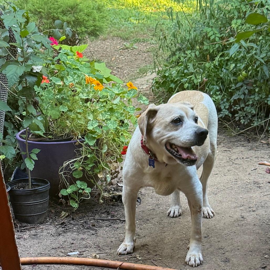 Ernie