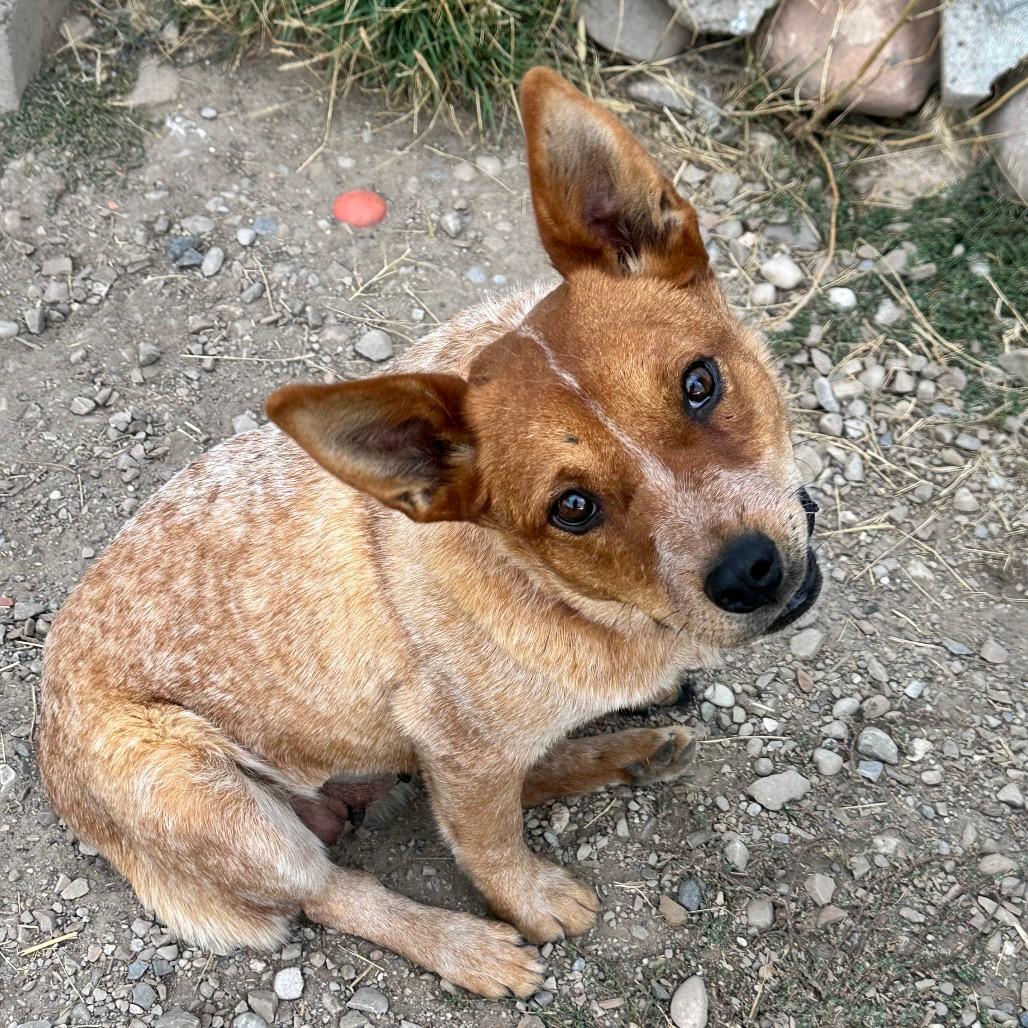 Winnie