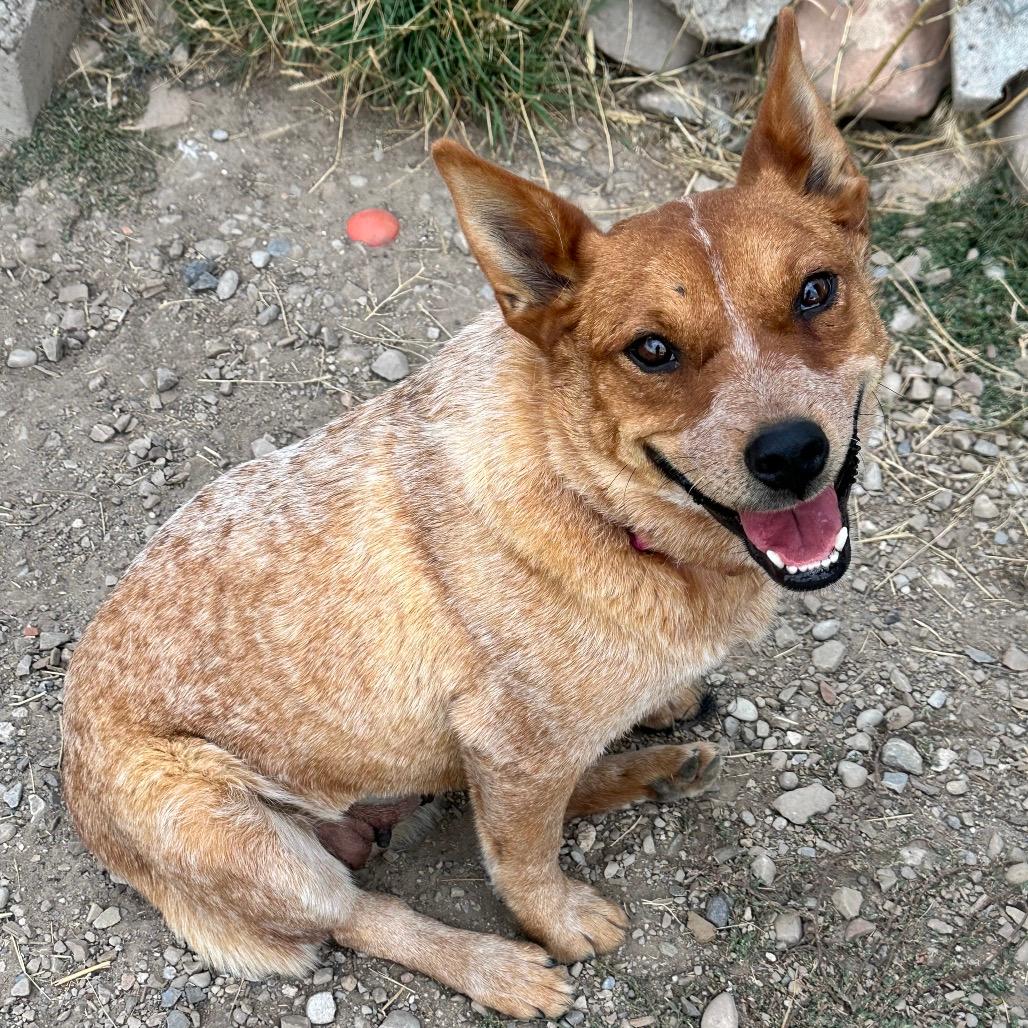 Winnie