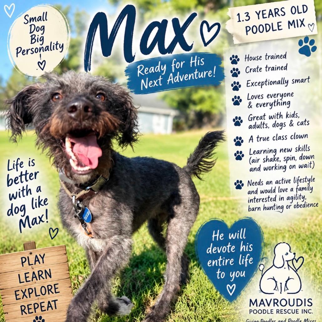 Max