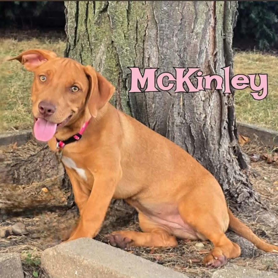 McKinley