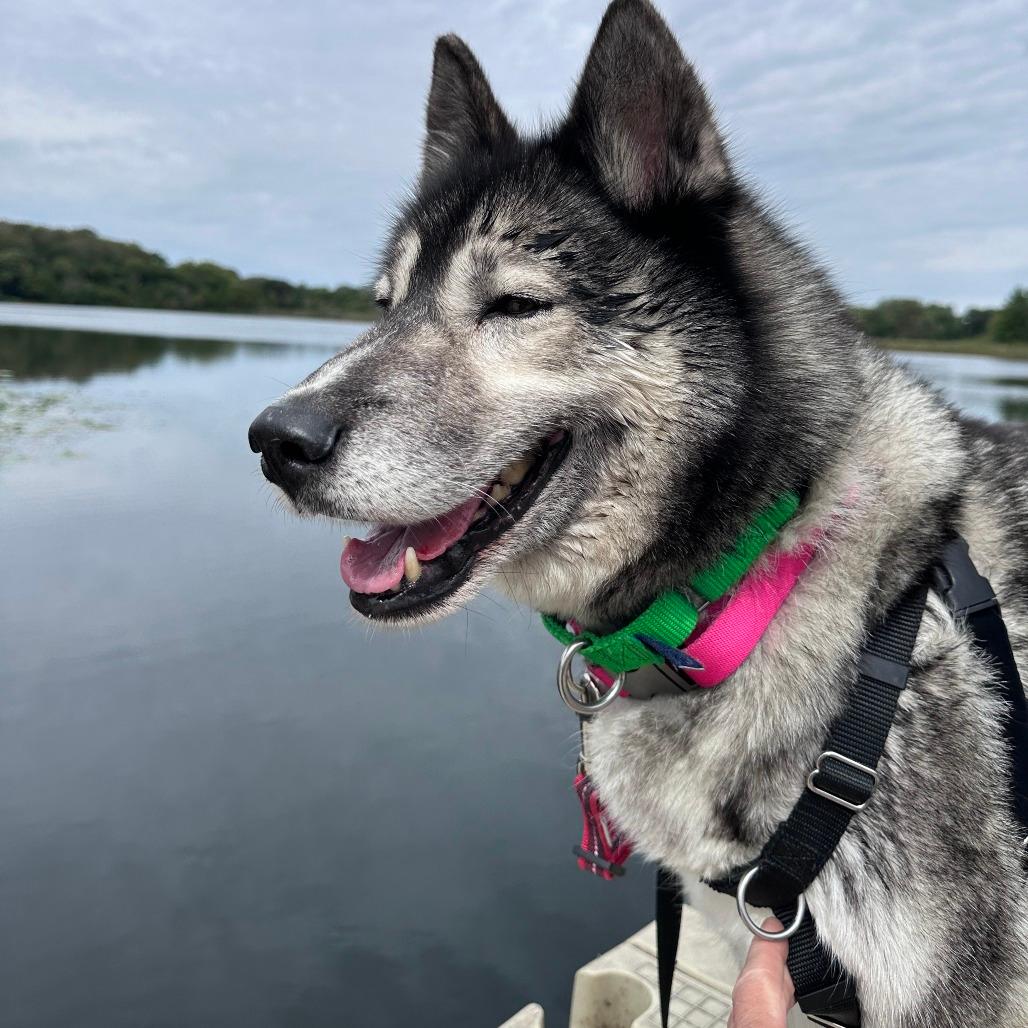 Kiya