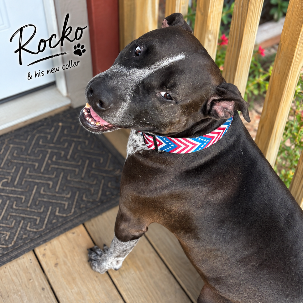 Rocko