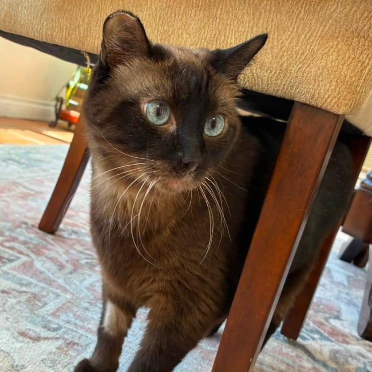 Coco