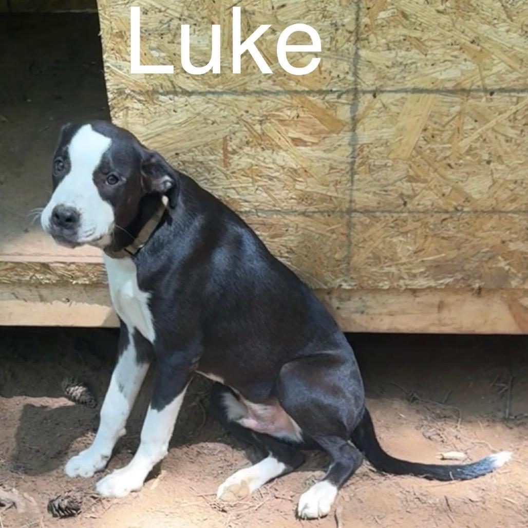 Luke