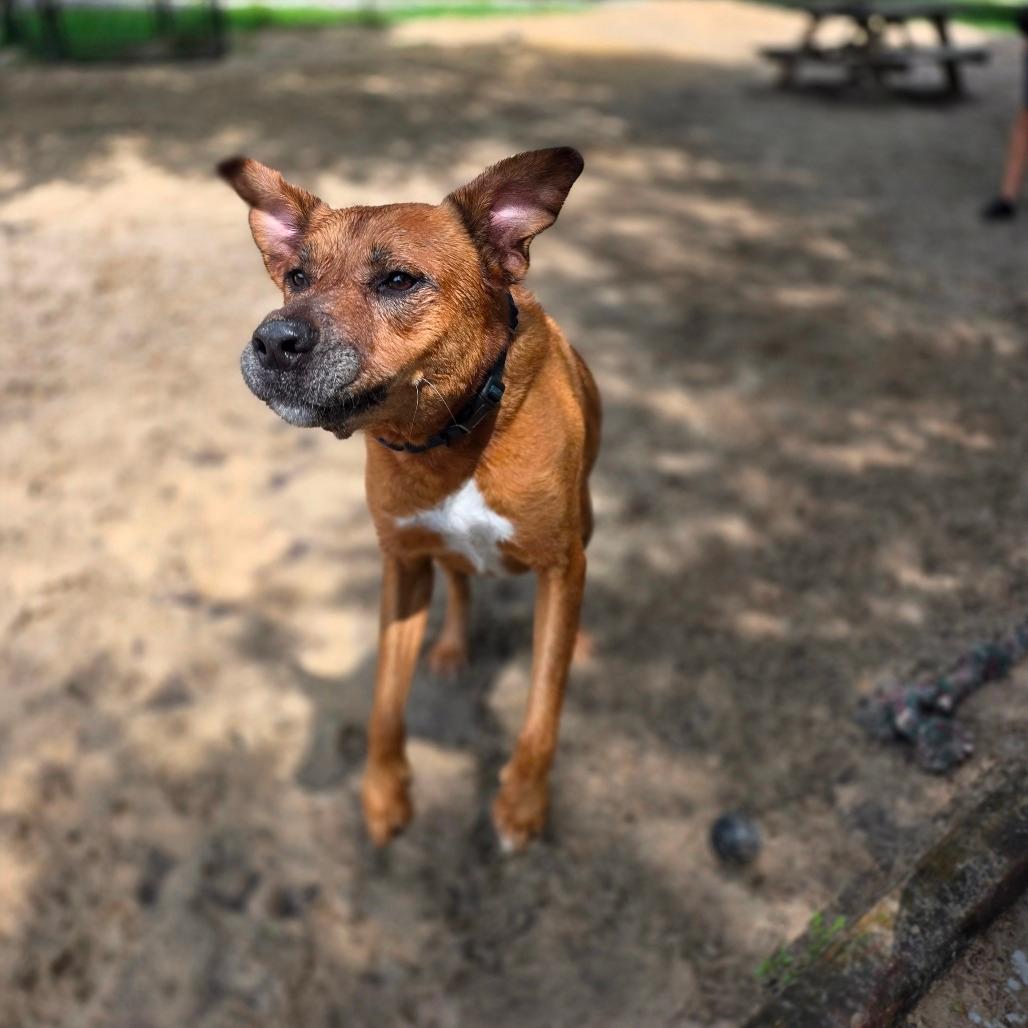 Zeke