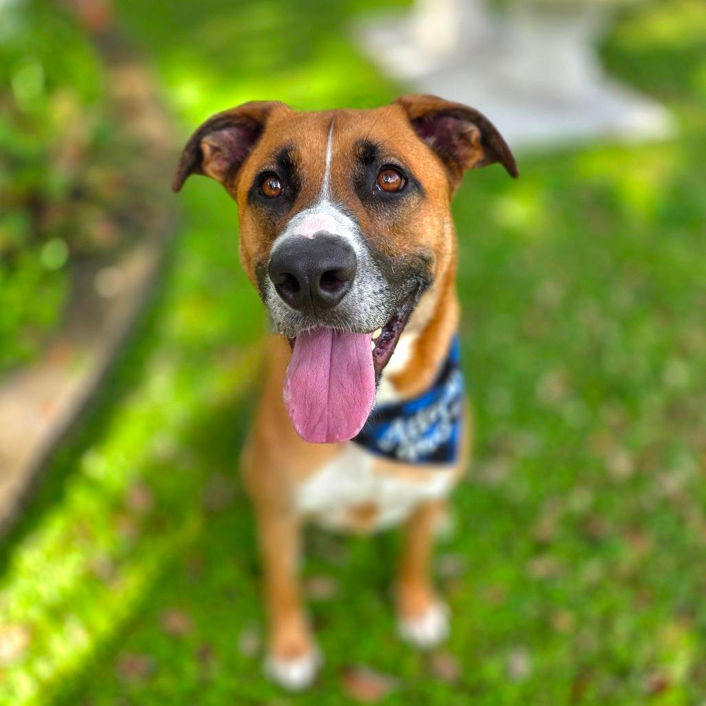 Arlo
