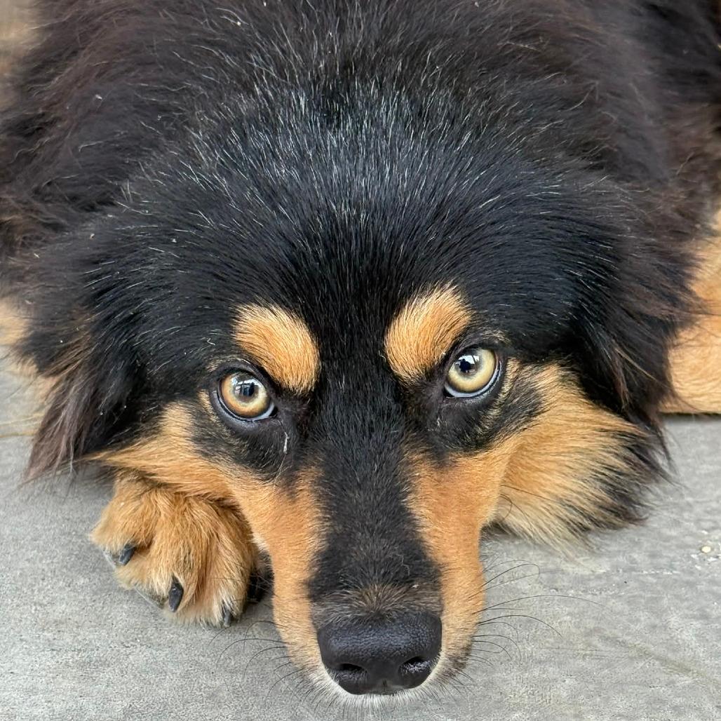Copper