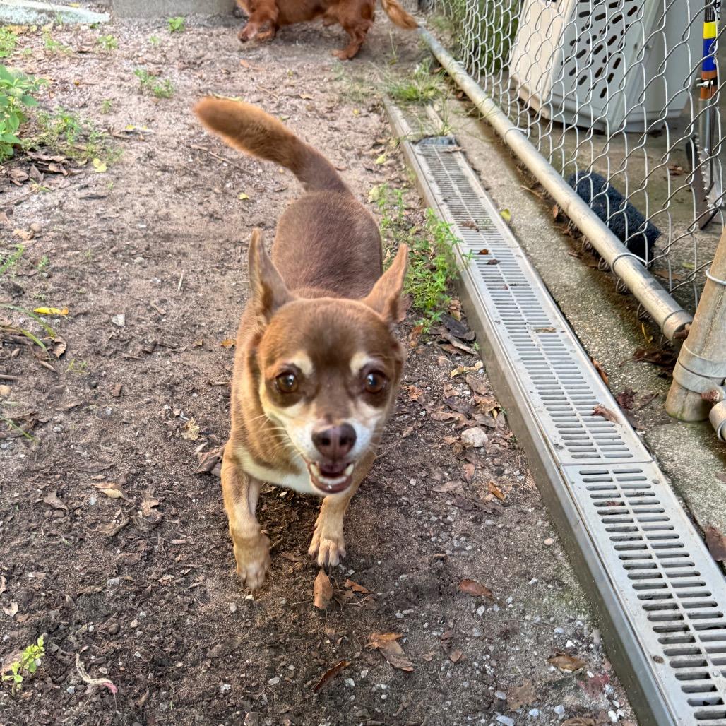 Coco