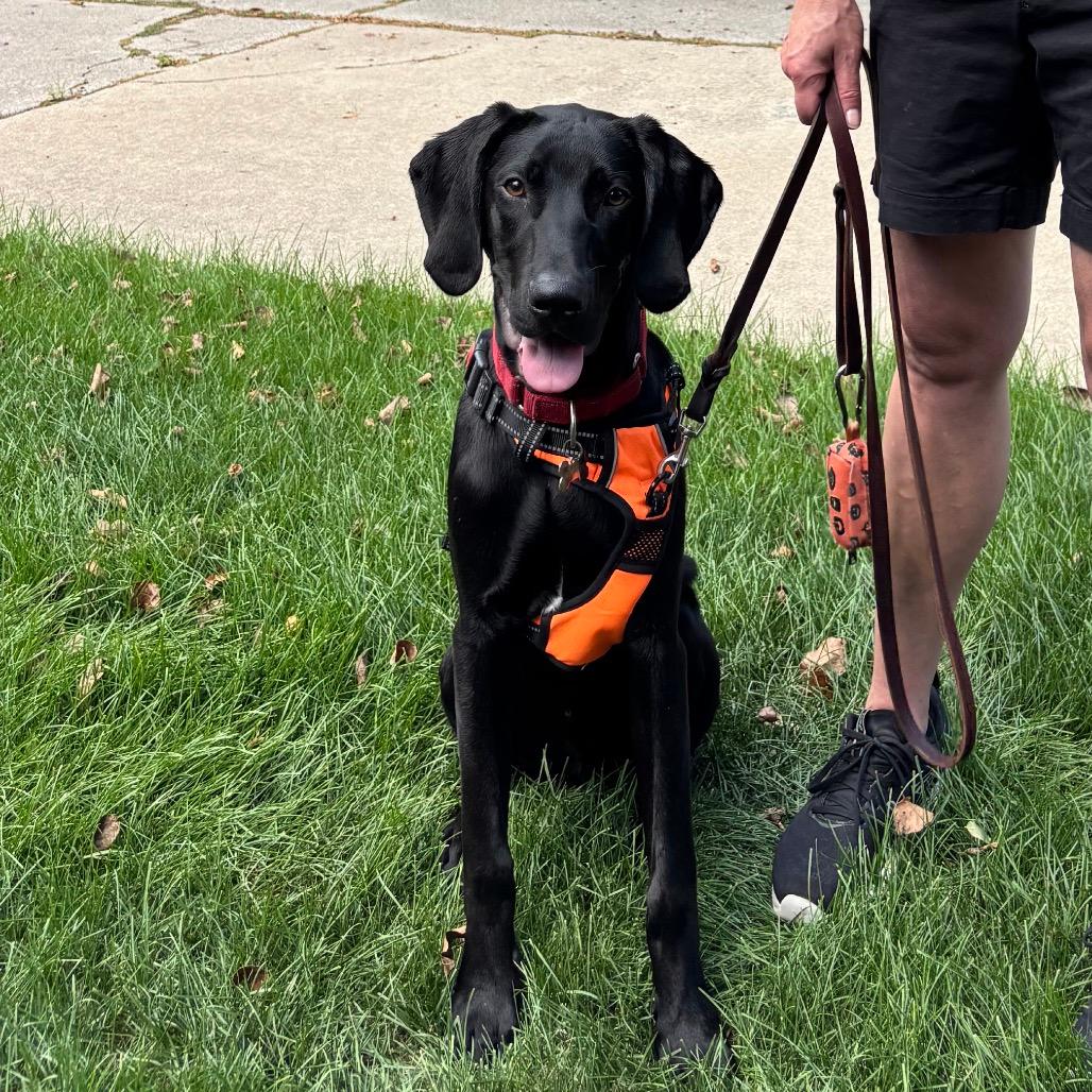 Hans (aka Winston)