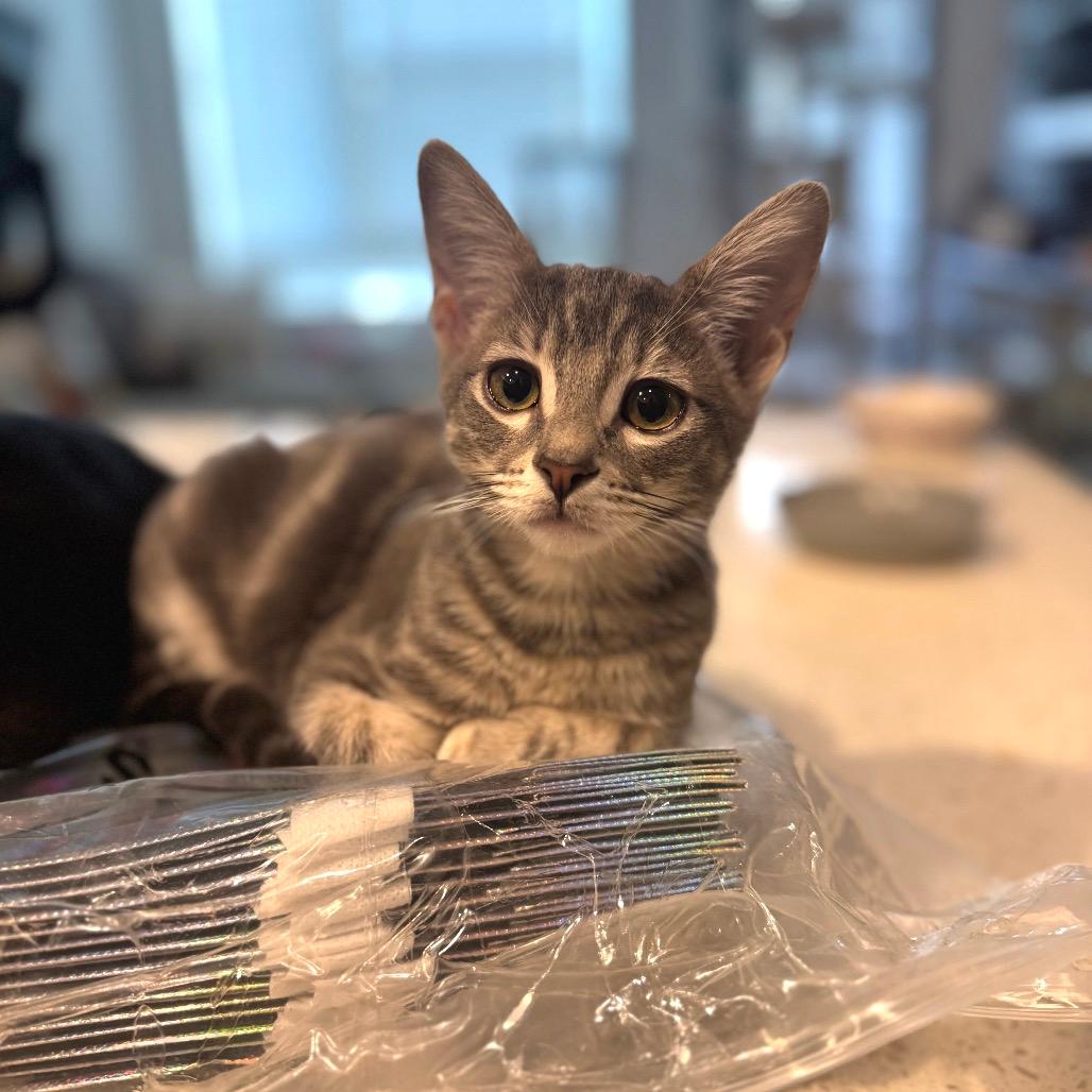 Remy
