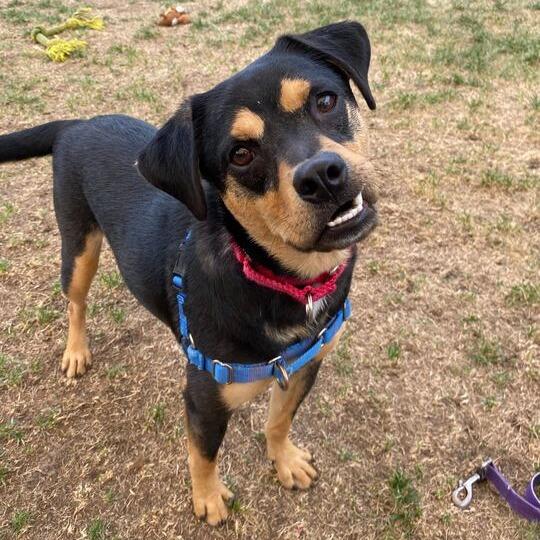 Samantha