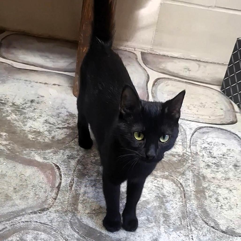 Elvira