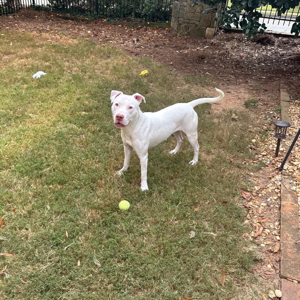 Star (She is Deaf)