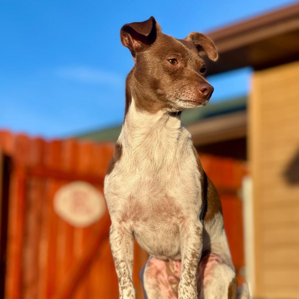 Patches McGee