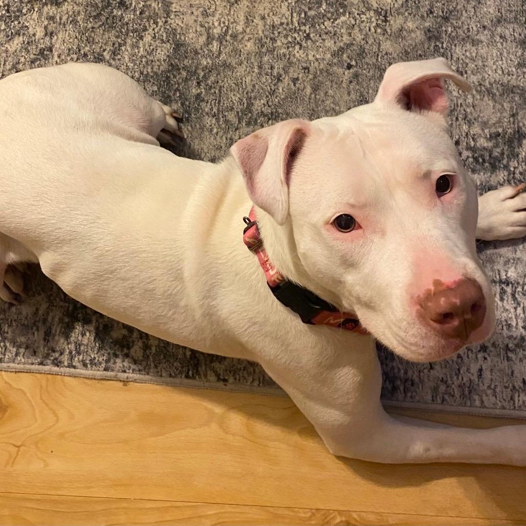 Star (She is Deaf)