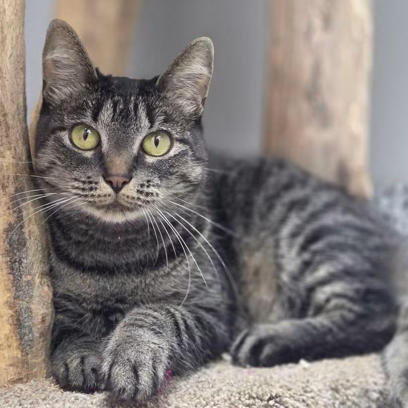 Fran
