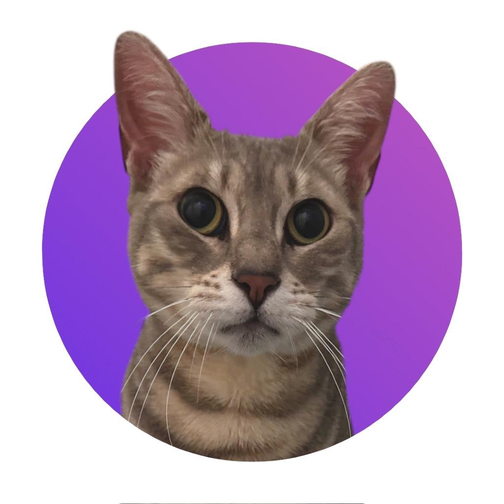 Fig